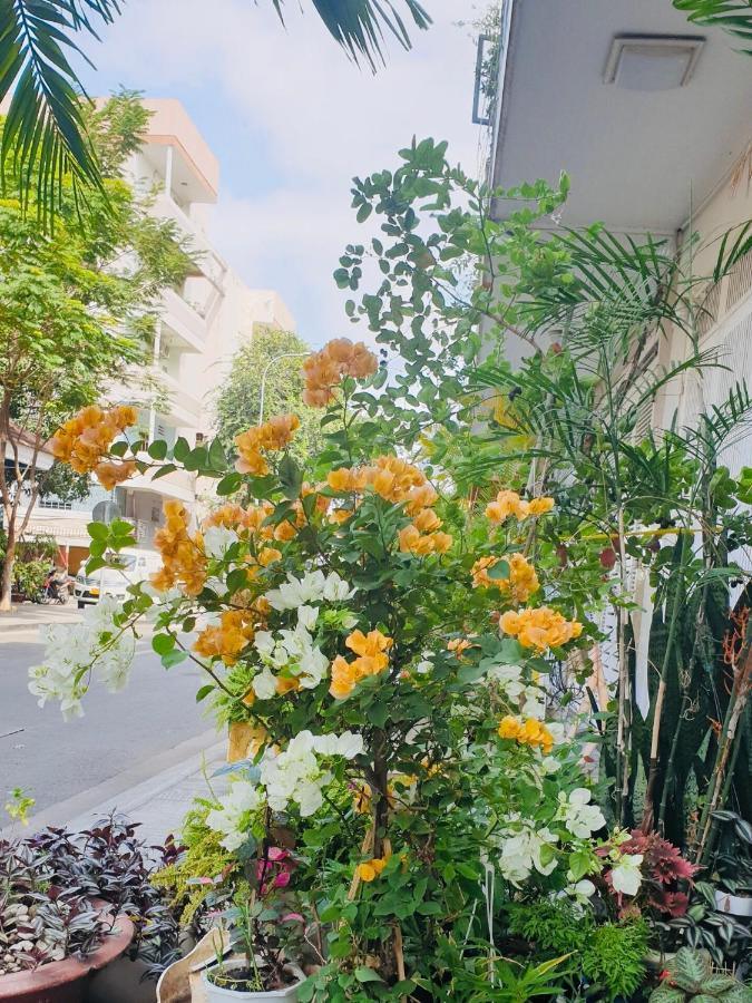Chez Lotus Vn Hotel Cidade de Ho Chi Minh Exterior foto